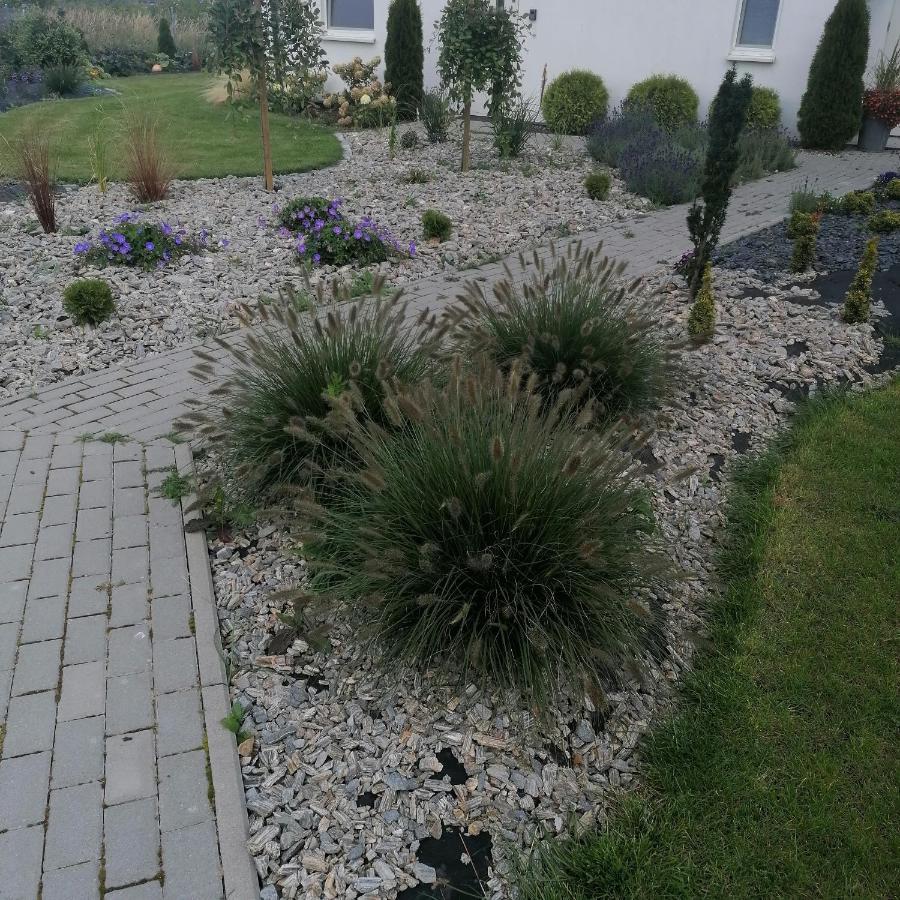 "Lawendowe Wzgorze" Villa Zastan Exteriör bild